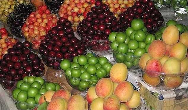 قیمت میوه در میادین تره بار/ جدول