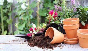 ویژگی‌های خاک مناسب برای گلدان