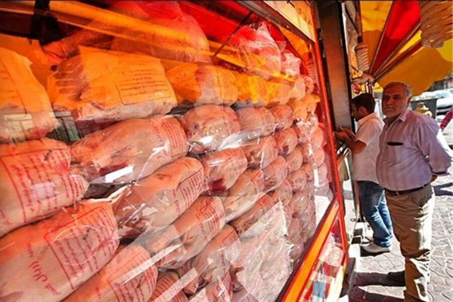 رئیس اتحادیه اعلام کرد: قیمت جدید مرغ به رسمیت شناخته شده است