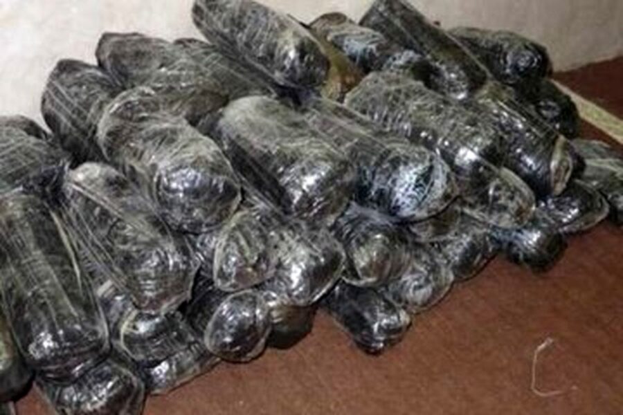 باند بزرگ قاچاق تریاک در تهران منهدم شد؛ کشف ۳۰۰ کیلوگرم مواد مخدر