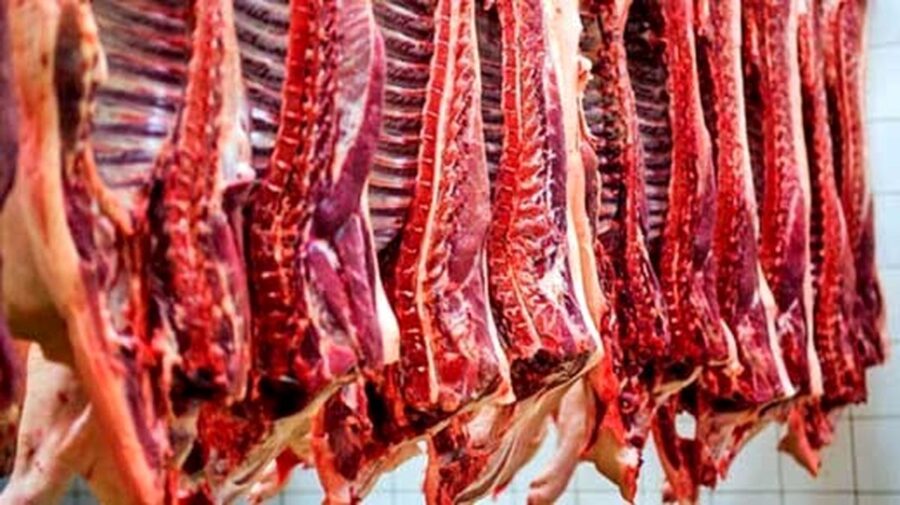 پایان گرانی گوشت؟ عرضه گسترده گوشت منجمد گوسفندی با نرخ مصوب از فردا