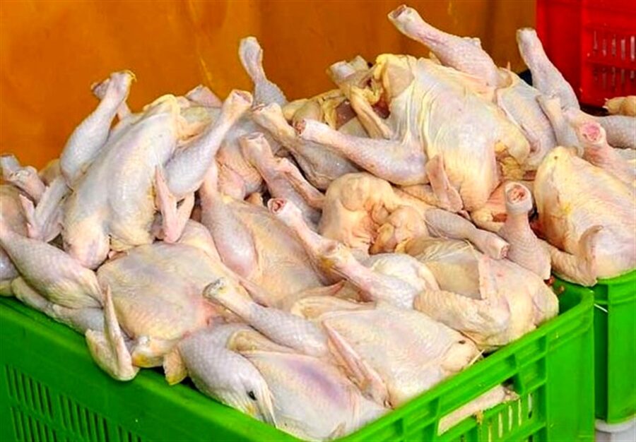 نگرانی از افزایش قیمت مرغ در ایام عید و رمضان