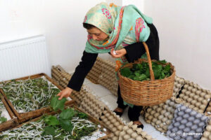 حمایت ۱۵ میلیاردی از کارآفرینان خانگی در مراغه