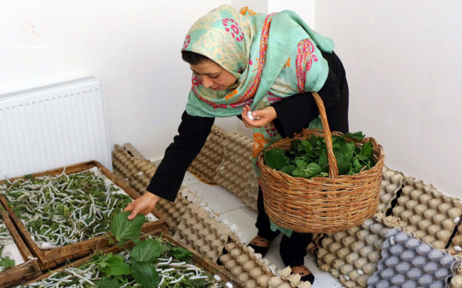 حمایت ۱۵ میلیاردی از کارآفرینان خانگی در مراغه