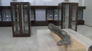 سفر به گذشته در موزه فسیل مراغه