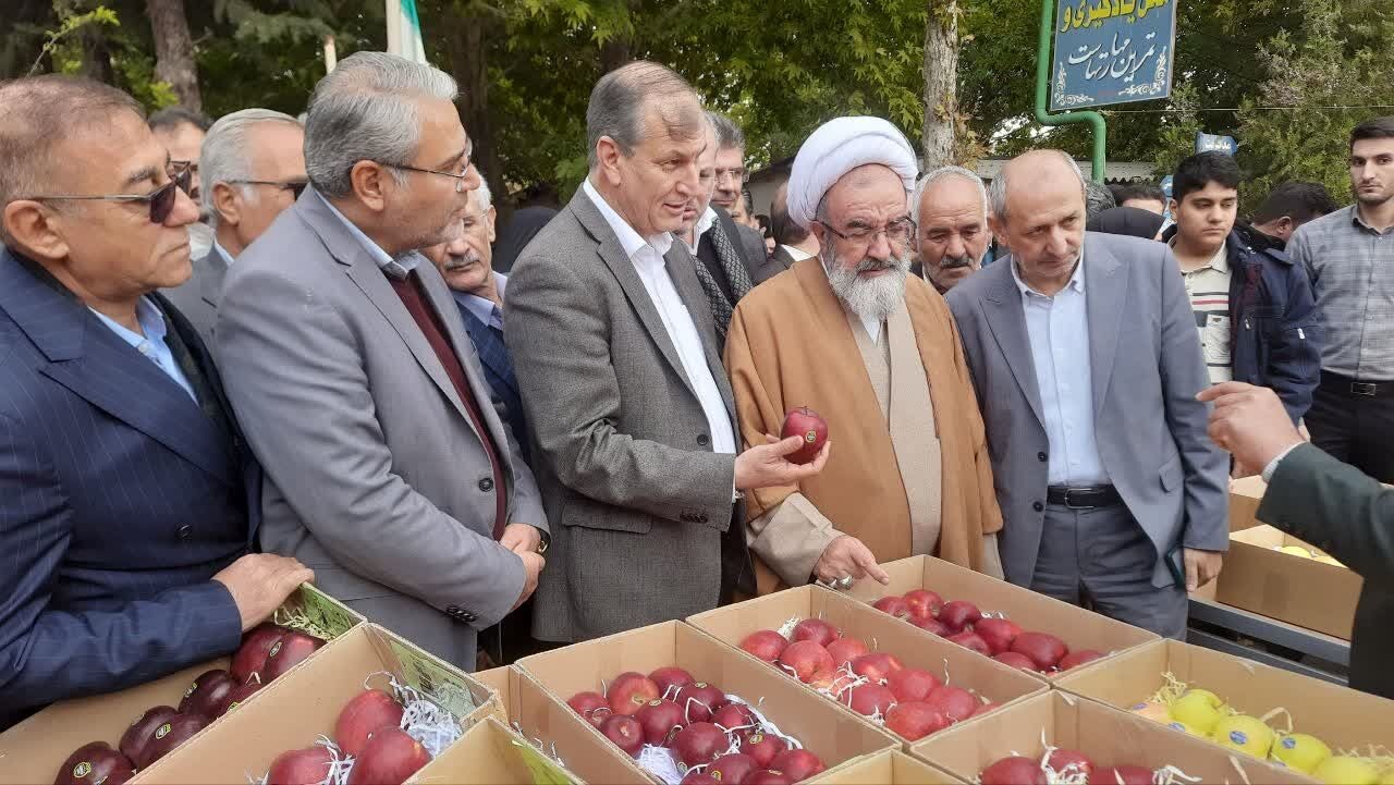 با حضور مهمانان ملی جشنواره سیب مراغه برگزار شد