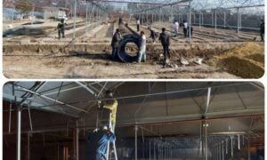 افتتاح گلخانه مکانیزه شهرداری مراغه؛ گامی نوین در خودکفایی و تولید گیاهان بومی