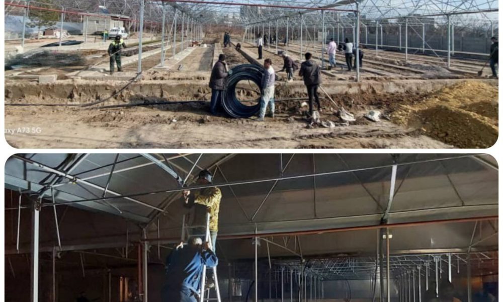 افتتاح گلخانه مکانیزه شهرداری مراغه؛ گامی نوین در خودکفایی و تولید گیاهان بومی