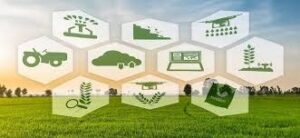 افزایش ۴۰ همت به سرمایه صندوق حمایت از توسعه کشاورزی