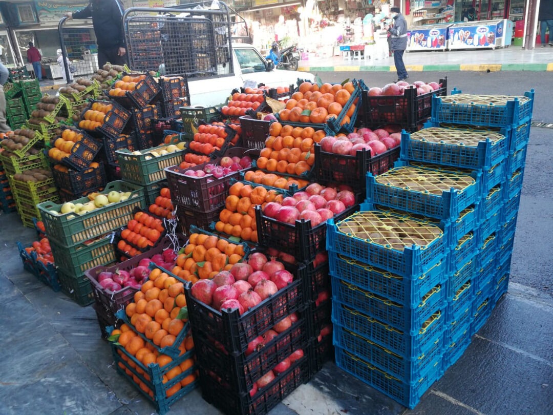 آغاز توزیع میوه شب عید در تهران از امروز