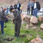 کاشت نهال در محوطه غار هامپوئیل مراغه