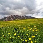 گیاهان خوراکی سهند، میراثی سبز در انتظار حفاظت