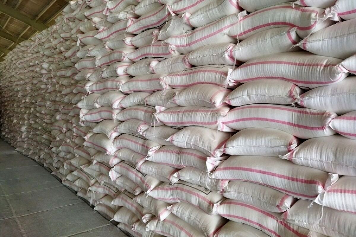 توزیع ۱۳۰۰ تن کود شیمیایی در مراغه