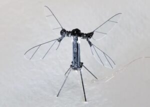 معرفی پهپاد ریزمقیاس ارتش چین برای عملیات‌های پنهانی