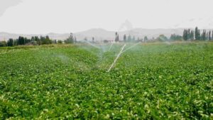نقش تحقیقات در ارتقای تولید محصولات کشاورزی کشور
