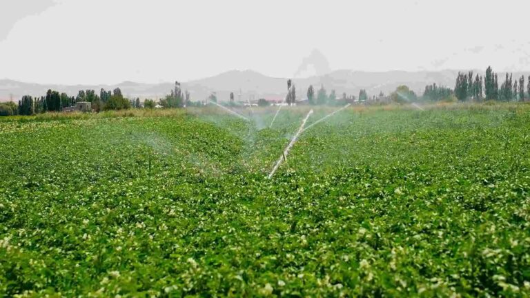 نقش تحقیقات در ارتقای تولید محصولات کشاورزی کشور
