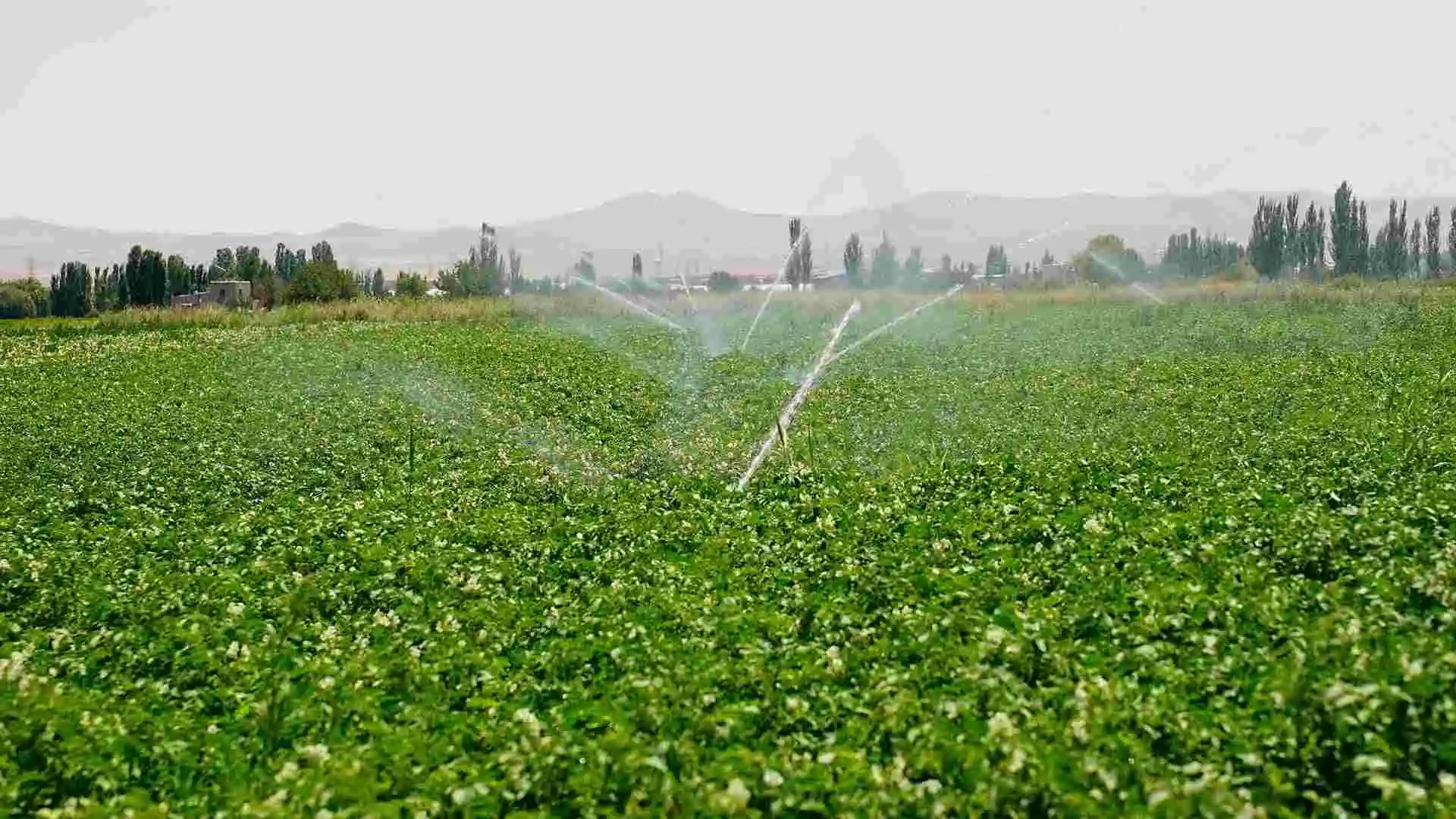 نقش تحقیقات در ارتقای تولید محصولات کشاورزی کشور