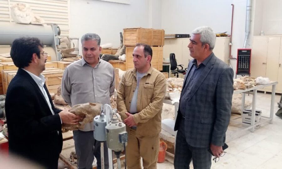 درخواست ۲۰۰ میلیارد تومان اعتبار برای مرکز تحقیقات فسیل ایران