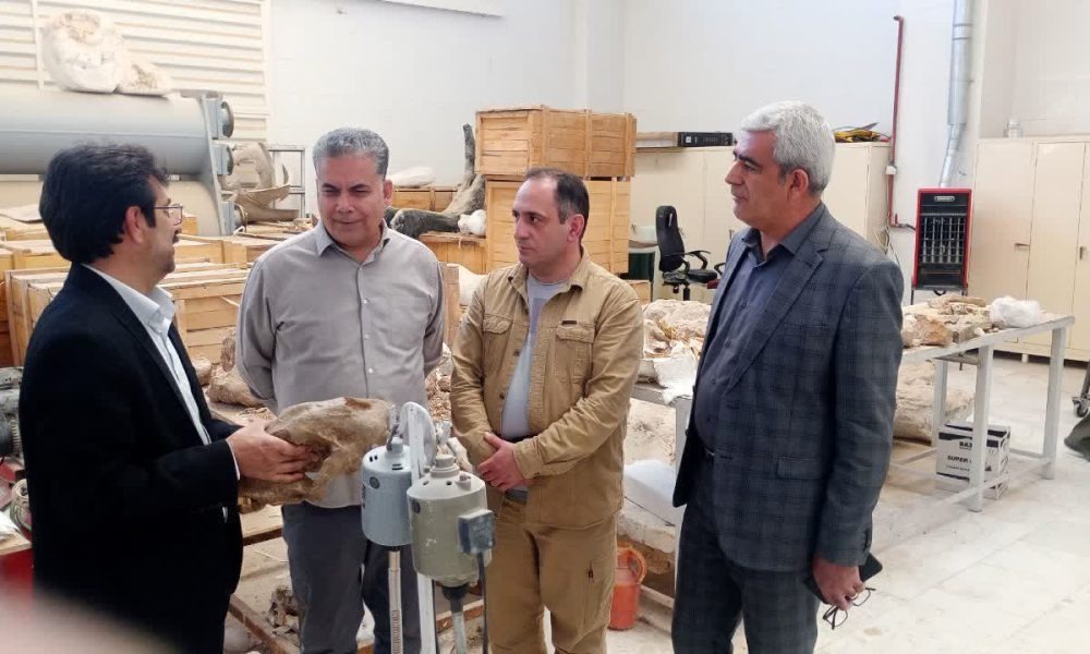 درخواست ۲۰۰ میلیارد تومان اعتبار برای مرکز تحقیقات فسیل ایران