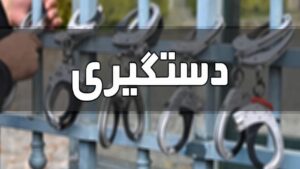 سارق سیم و کابل برق در مراغه دستگیر شد