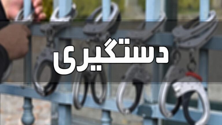 سارق سیم و کابل برق در مراغه دستگیر شد