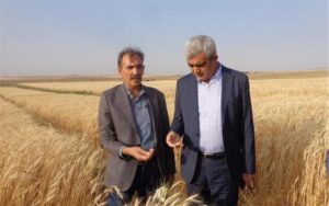 یافته‌های تحقیقاتی؛ مسیرساز افزایش بهره‌وری ملی