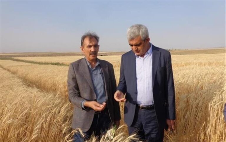 یافته‌های تحقیقاتی؛ مسیرساز افزایش بهره‌وری ملی