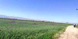 قرارداد ۹ کلینیک گیاه‌پزشکی برای مدیریت آفات در آذربایجان شرقی