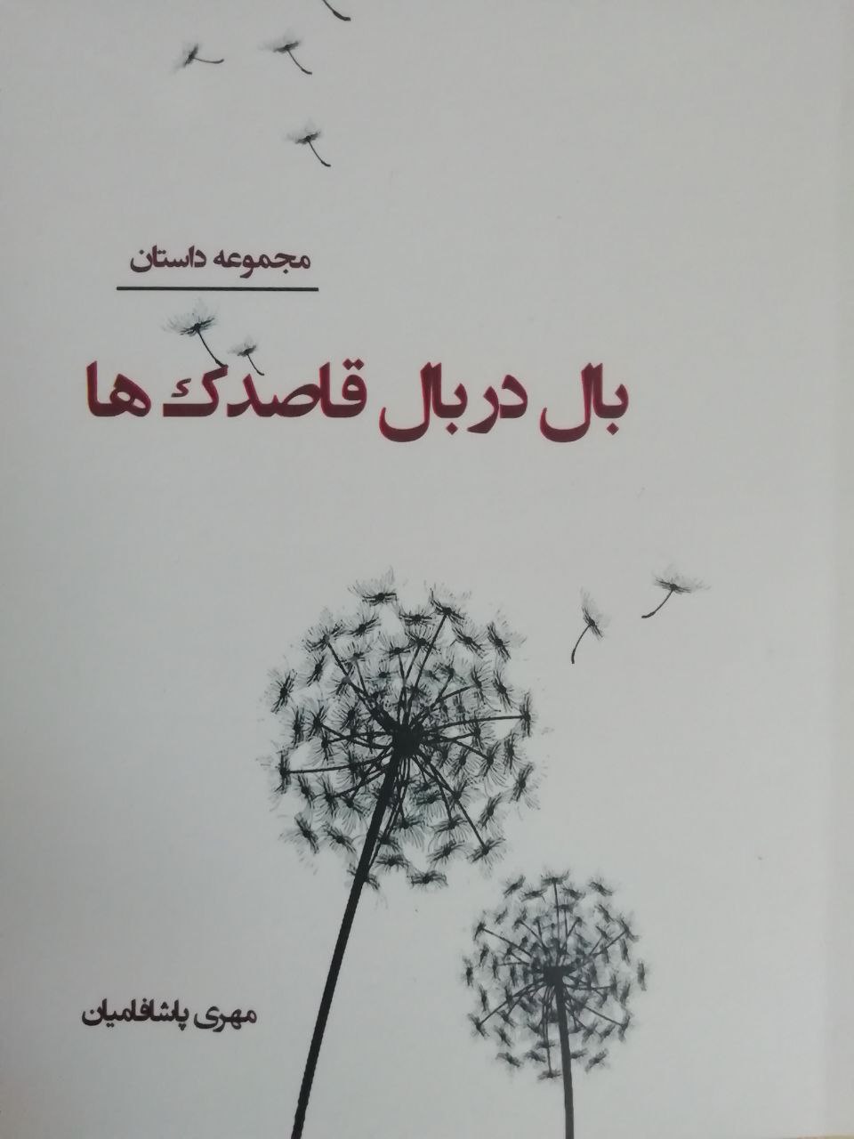مهری پاشافامیان؛ نویسنده، روان‌شناس و مبتکری با نگاه چندبعدی به ادبیات و خلاقیت