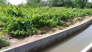 اختصاص اعتبار هشت میلیارد تومانی برای بهسازی کانال‌های آبیاری مراغه