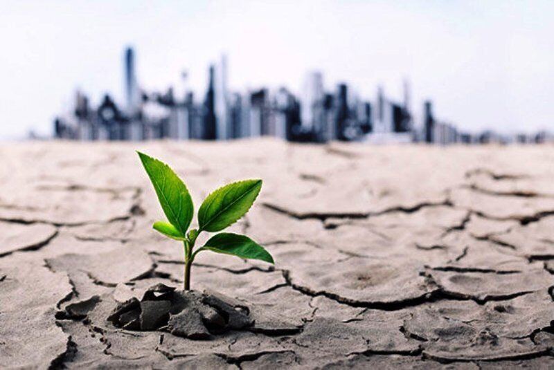 خشکسالی در مراغه؛ راهکارها در مدیریت منابع آب