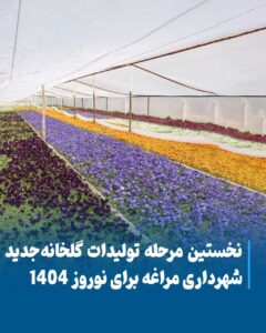 گلخانه شهرداری مراغه آماده تأمین گل‌های نوروز ۱۴۰۴