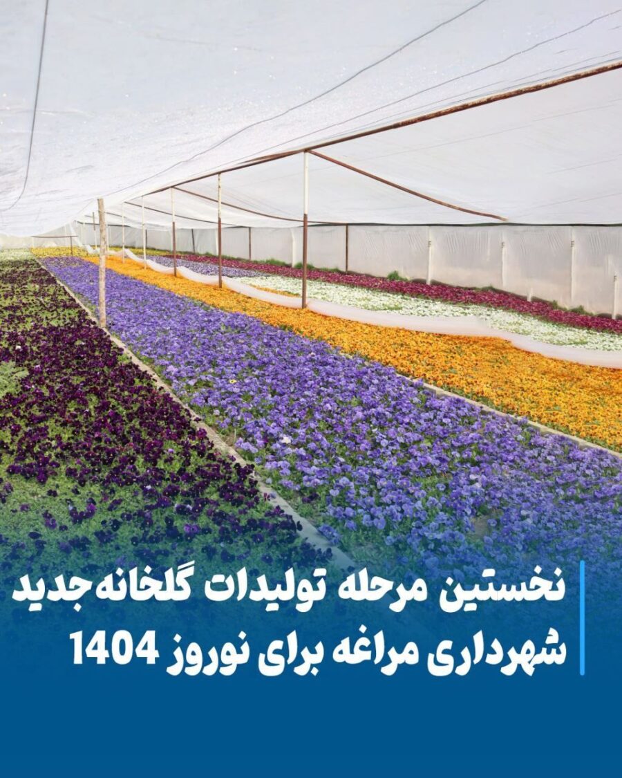 گلخانه شهرداری مراغه آماده تأمین گل‌های نوروز ۱۴۰۴