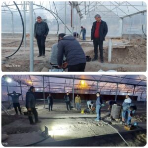 گلخانه مکانیزه شهرداری مراغه تا دهه فجر آماده بهره‌برداری می‌شود