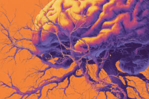 آیا مغزی که از بدن جدا شده می‌تواند هوشیار باشد؟