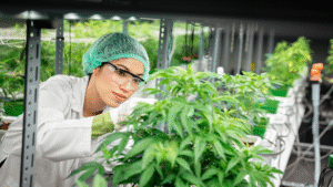 افتتاح نخستین مرکز پرتودهی کشاورزی ایران در اردبیل، جهشی بزرگ در امنیت غذایی