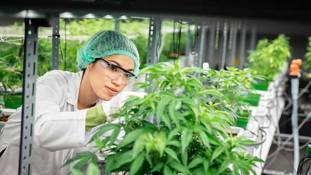 افتتاح نخستین مرکز پرتودهی کشاورزی ایران در اردبیل، جهشی بزرگ در امنیت غذایی