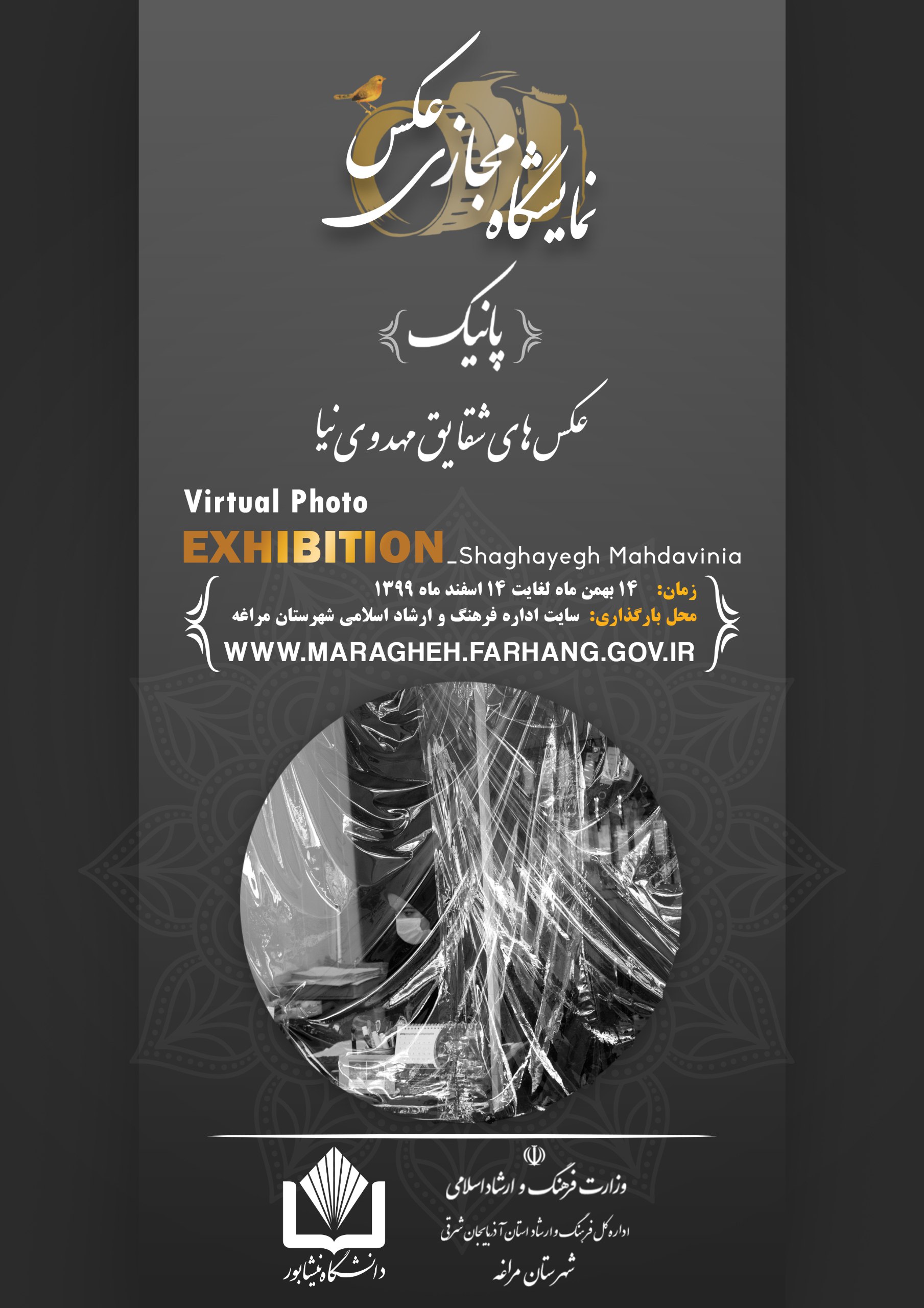 روایت جهان از پشت لنز شقایق مهدوی‌نیا