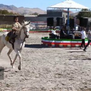 مراغه میزبان نمایش اسب‌های اصیل ایرانی