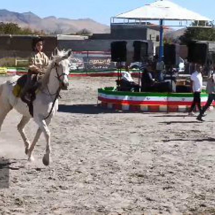 مراغه میزبان نمایش اسب‌های اصیل ایرانی