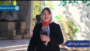 جشنواره دوشاب مراغه؛ طعم شیرین پاییز در باغ قره‌باغی