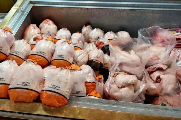 افزایش عرضه گوشت مرغ با اجرای قیمت مصوب جدید