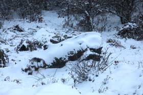 بارش برف ارتفاعات مراغه و سونگون، ثبت کمینه دما در هریس