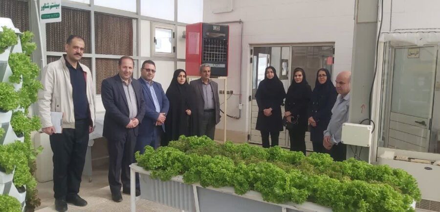 بازدید مسئولان جهاد کشاورزی از کشت‌های نوین دانشگاه مراغه