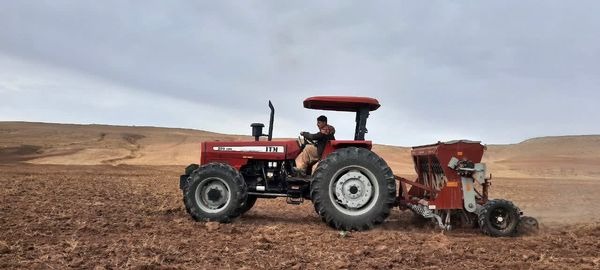 کشت پاییزه محصولات دیم در شهرستان ویژه مراغه به پایان رسید