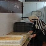 کارآفرینی بانوی مراغه‌ای با تولید پودر جوانه گندم