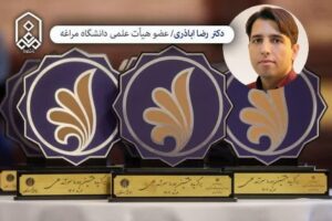 استاد دانشگاه مراغه به‌عنوان محقق برتر کشور معرفی شد