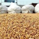 کشف محموله ۶ تنی کنسانتره دامی در مراغه