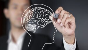 یک راهکار ساده برای حفظ سلامت و جوانی مغز