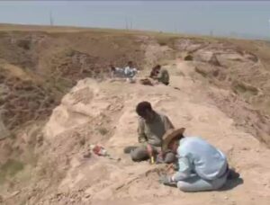 کشف سایت فسیلی تازه در مراغه